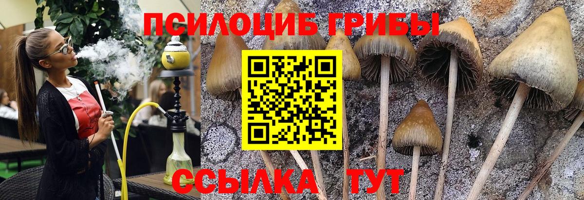 Псилоцибиновые грибы MAGIC MUSHROOMS  Вход с VPN  Знаменск 